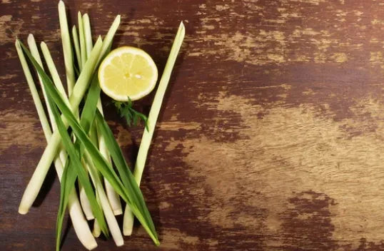 Tiges de citronnelle fraîches disposées sur une table en bois, accompagnées d’une demi-rondelle de citron, utilisées pour préparer des tisanes toniques et rafraîchissantes.