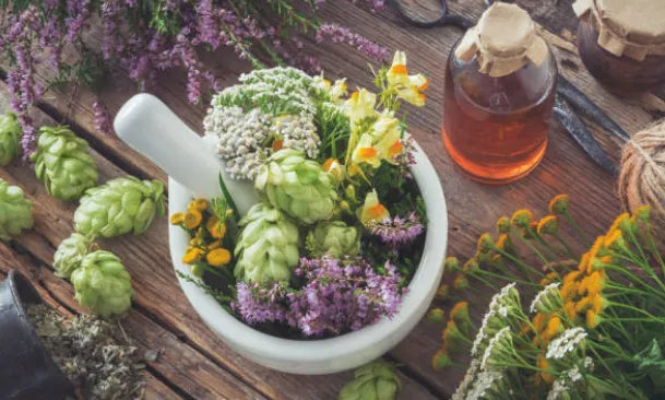 Mortier et pilon remplis d'herbes fraîches, de fleurs de lavande, d'houblon et d'autres plantes médicinales, sur une table en bois rustique, avec des flacons d'huiles et des ciseaux en arrière-plan