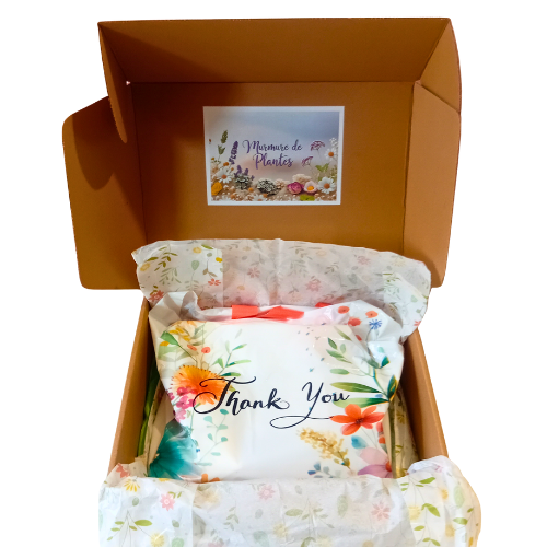 Box Murmures de Plantes