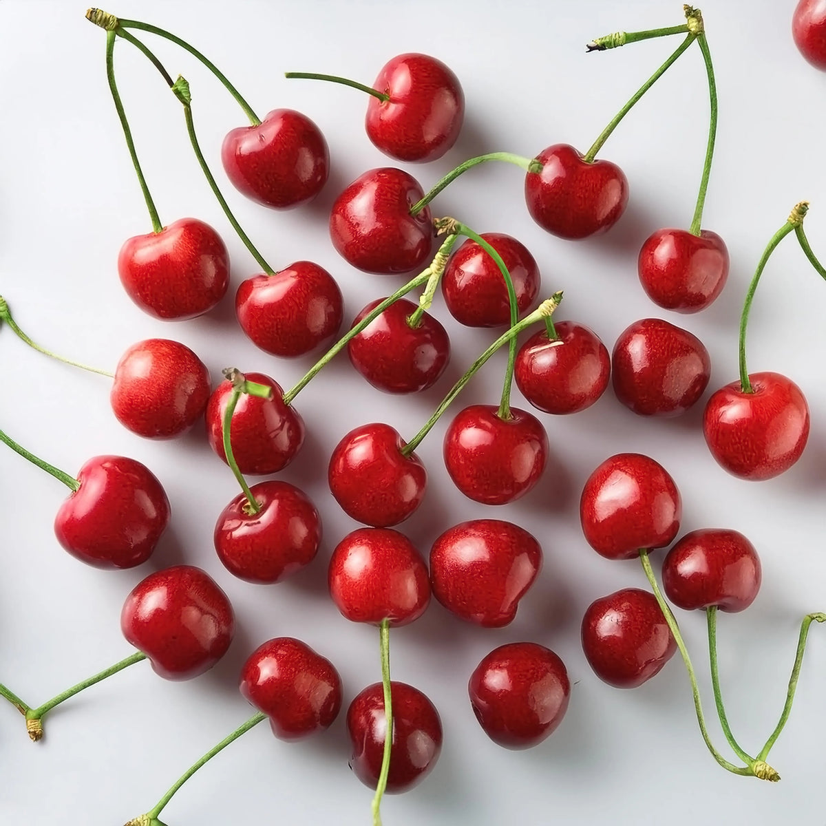 Vue de dessus de cerises rouges, brillantes et juteuses, dispersées sur une surface blanche, avec leurs longues queues vertes. Image pour illustrer l'origine de nos queues de cerise