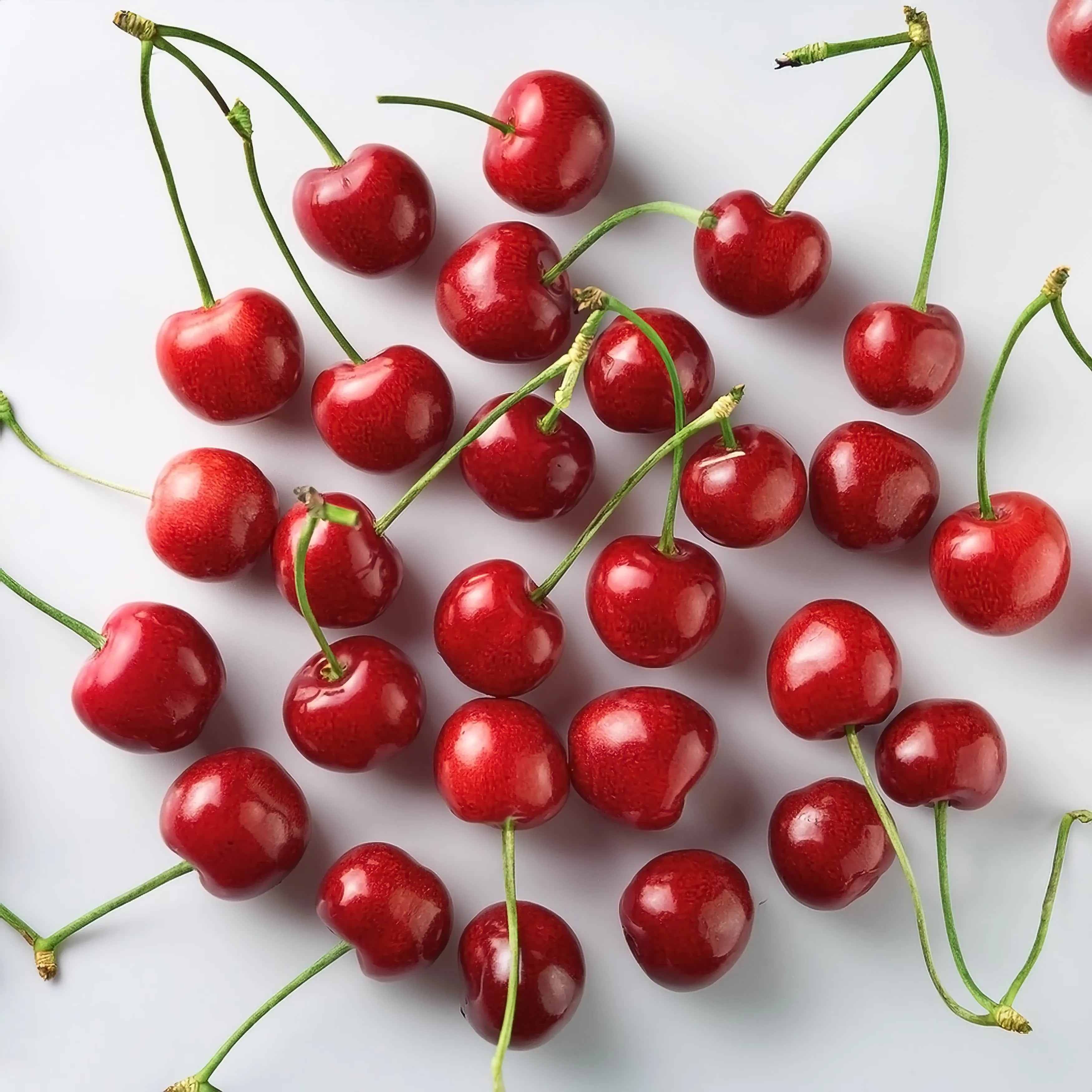 Vue de dessus de cerises rouges, brillantes et juteuses, dispersées sur une surface blanche, avec leurs longues queues vertes. Image pour illustrer l'origine de nos queues de cerise