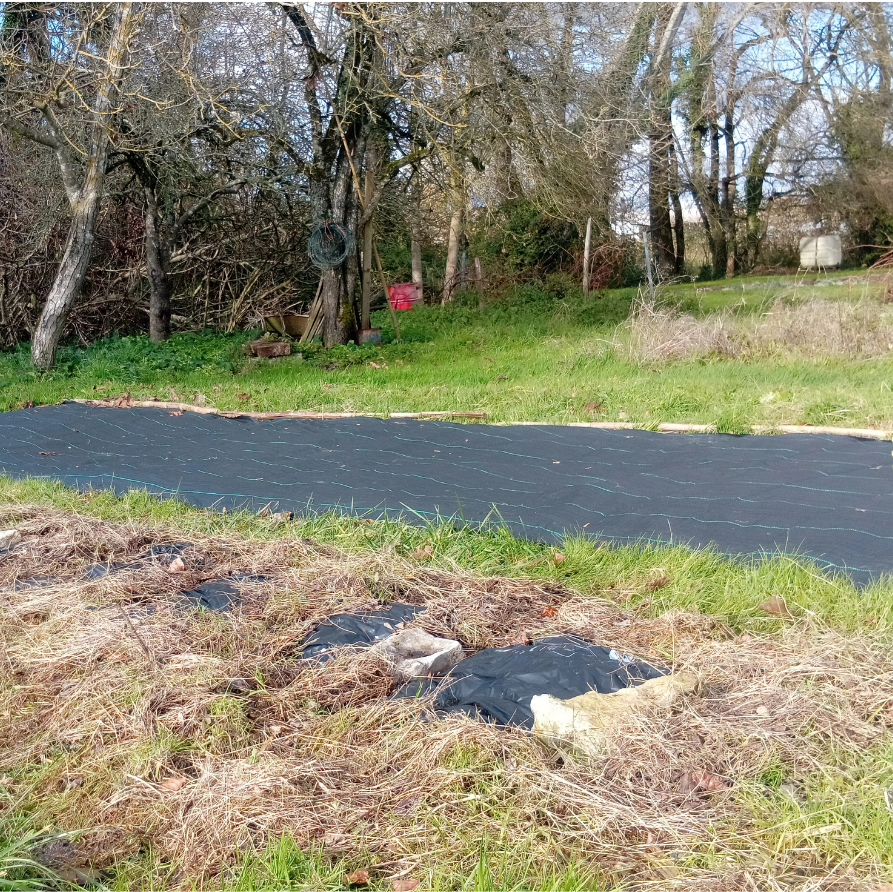Vue panoramique d'un terrain en friche en cours d'aménagement pour la culture de plantes. Au premier plan, on distingue des parcelles de terre partiellement travaillées avec des résidus de paille et des bâches de paillage noires. À l'arrière-plan, une petite serre tunnel verte est visible, et le paysage est bordé d'arbres dénudés en hiver. Un logo circulaire "Herboristerie Locale - Biodiversité - Production en Charente" est incrusté sur la droite de l'image