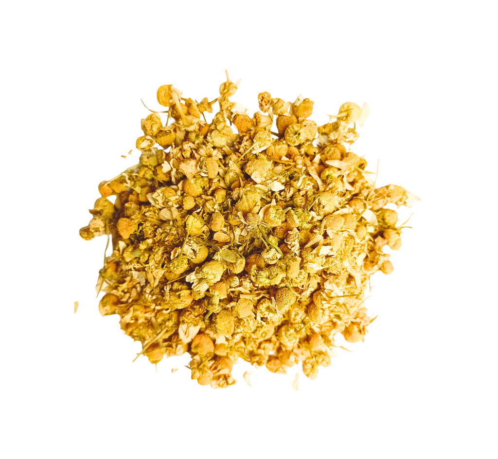 Vue de dessus d'un amas de petites têtes florales de camomille séchée, de couleur jaune doré à brun, destinées à l'infusion, isolées sur un fond blanc.