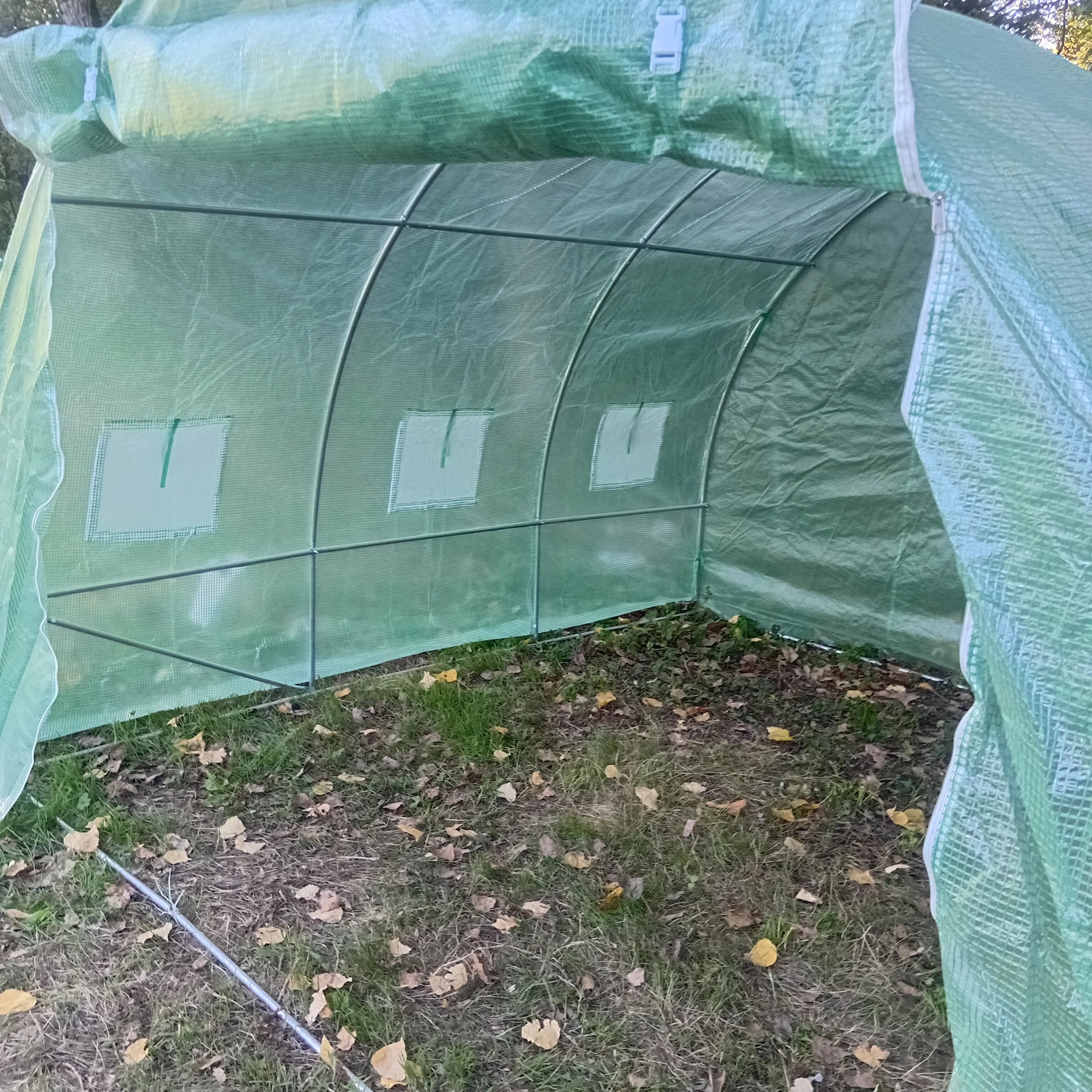 Vue de l'intérieur de la mini-serre, montrant la structure en métal recouverte de la bâche en plastique vert translucide. Le sol est herbeux et couvert de feuilles mortes. Trois petites fenêtres de ventilation sont visibles sur le côté. Image