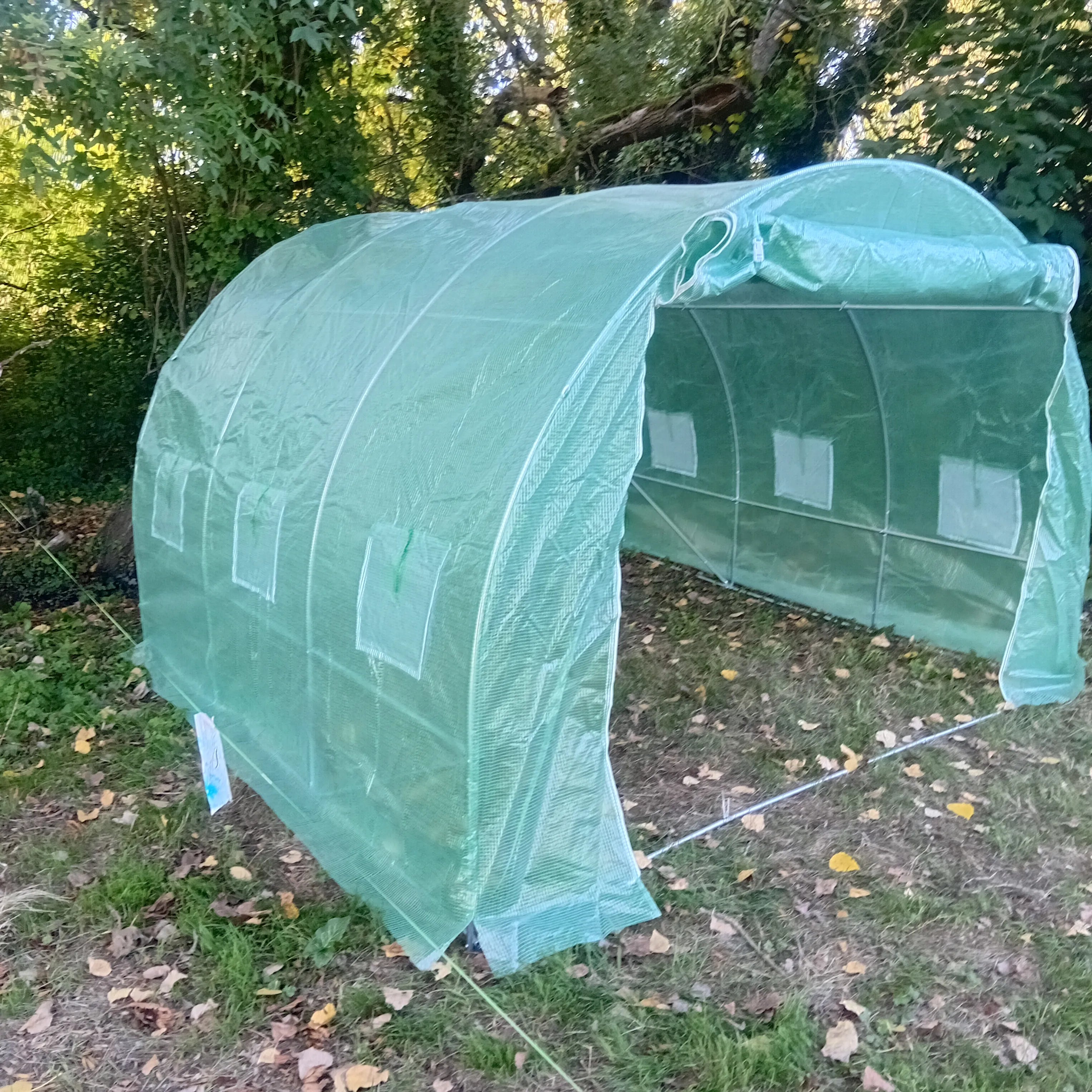 Vue extérieure de la serre tunnel en plastique vert, entièrement montée et fixée sur le sol herbeux du jardin. Le soleil brille sur la végétation dense à l'arrière-plan. Image