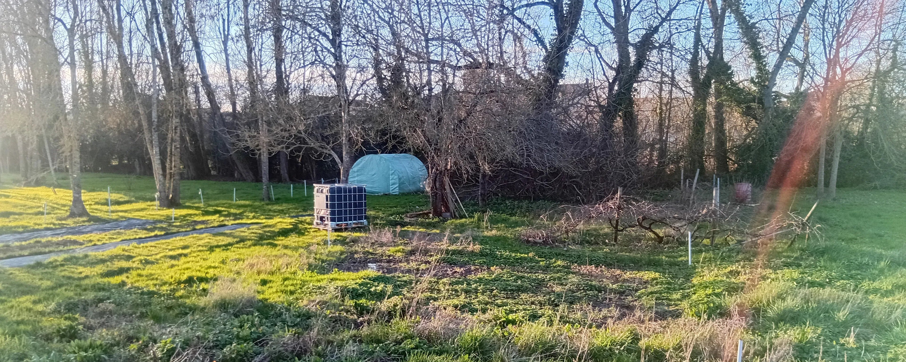 Paysage d'un jardin de culture de plantes médicinales au soleil couchant, montrant une serre tunnel et une cuve d'irrigation dans un cadre naturel préservé Image