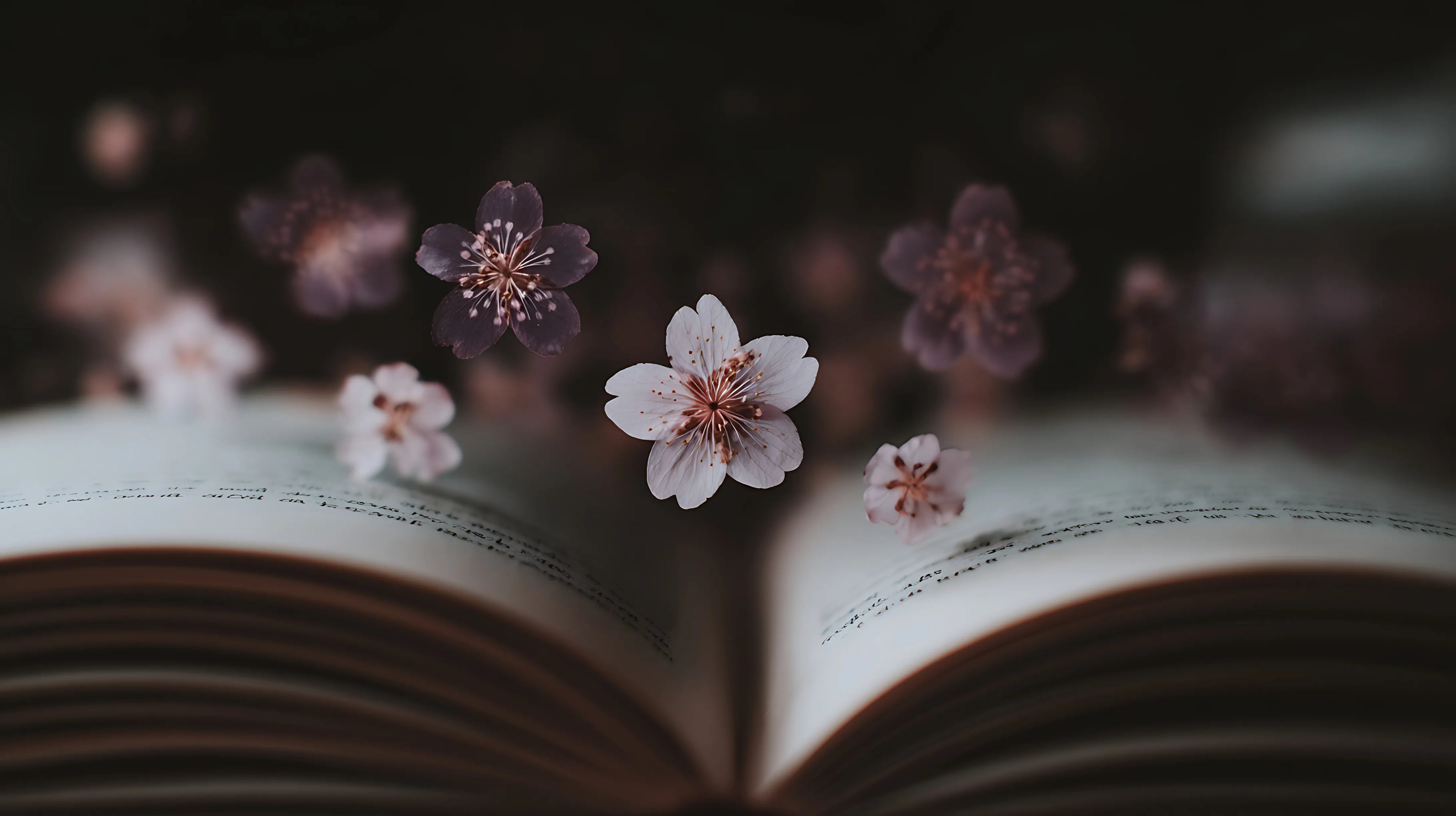 Petites fleurs roses et blanches flottant au-dessus d'un livre ouvert dans une ambiance sombre et poétique
